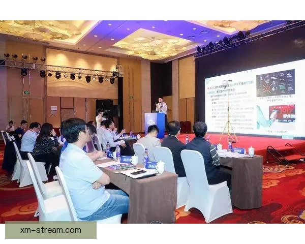 熊猫体育赛事：探索全球熊猫文化与体育竞技融合的创新之路