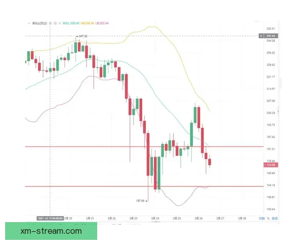 世界杯竞猜盘口深度解析与精准赛果预测策略指南