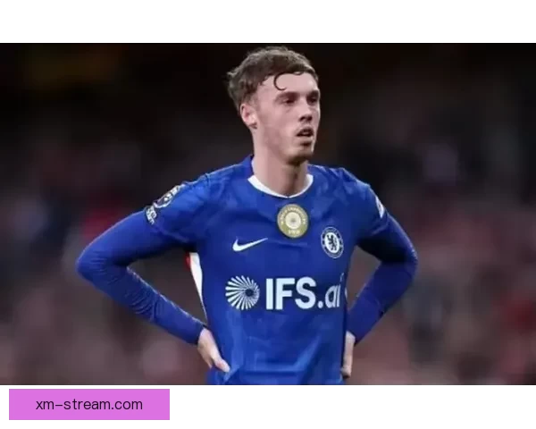 帕尔默：重拾胜利的信心很振奋 对阵曼城将延续强劲势头