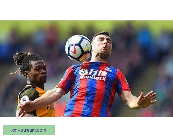 畅享世界杯激情，实时竞猜互动体验全新玩法指南